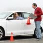 Kangaroo Driving School 85x85